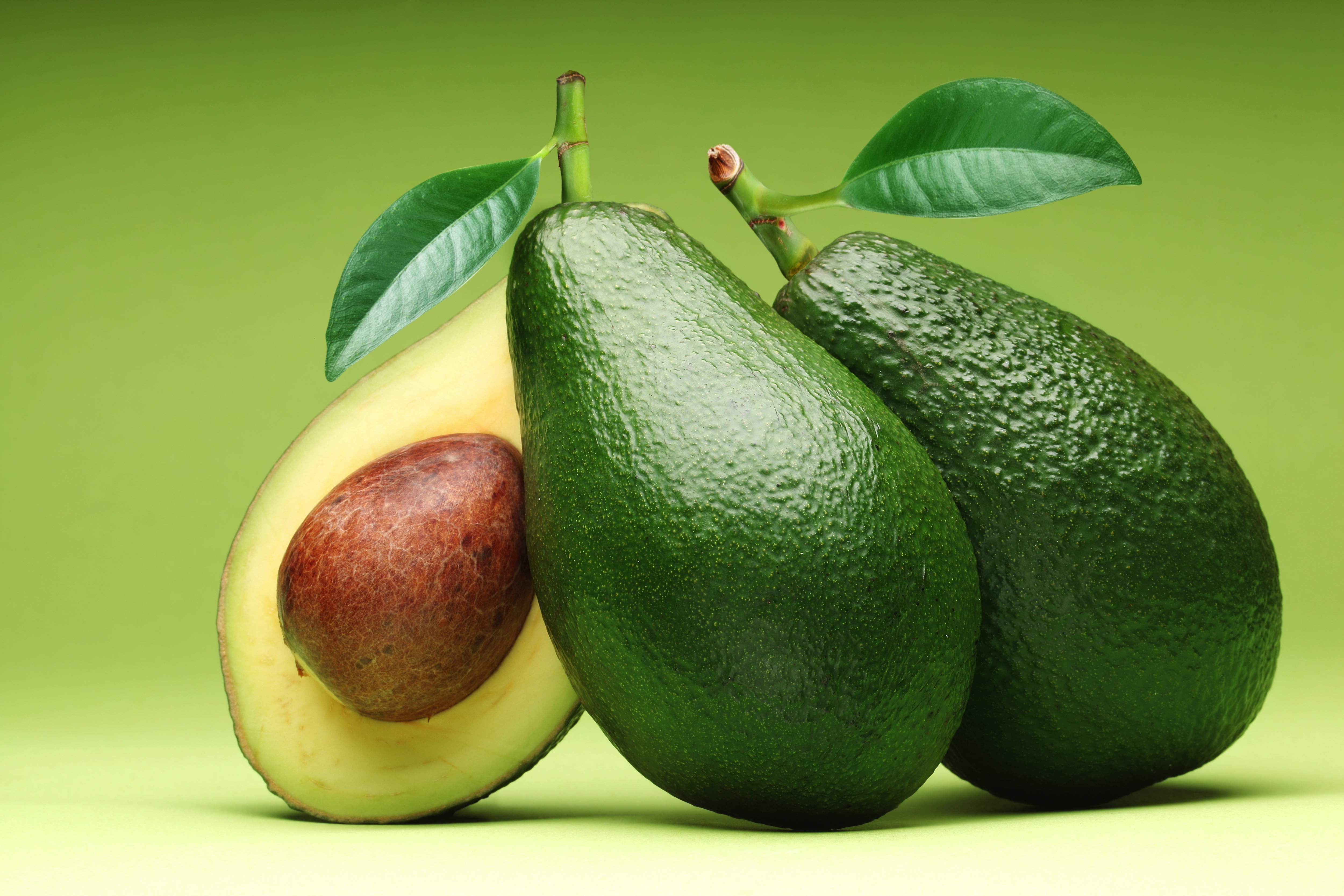 Avocado High Quality Background on Wallpapers Vista