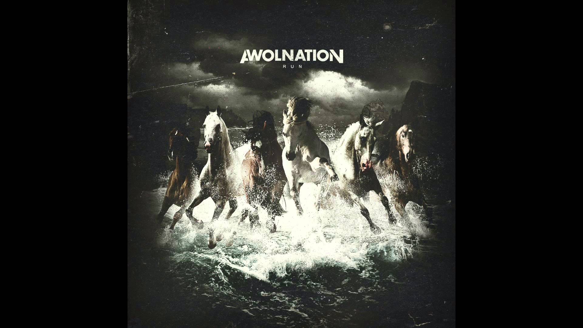 Awolnation #5