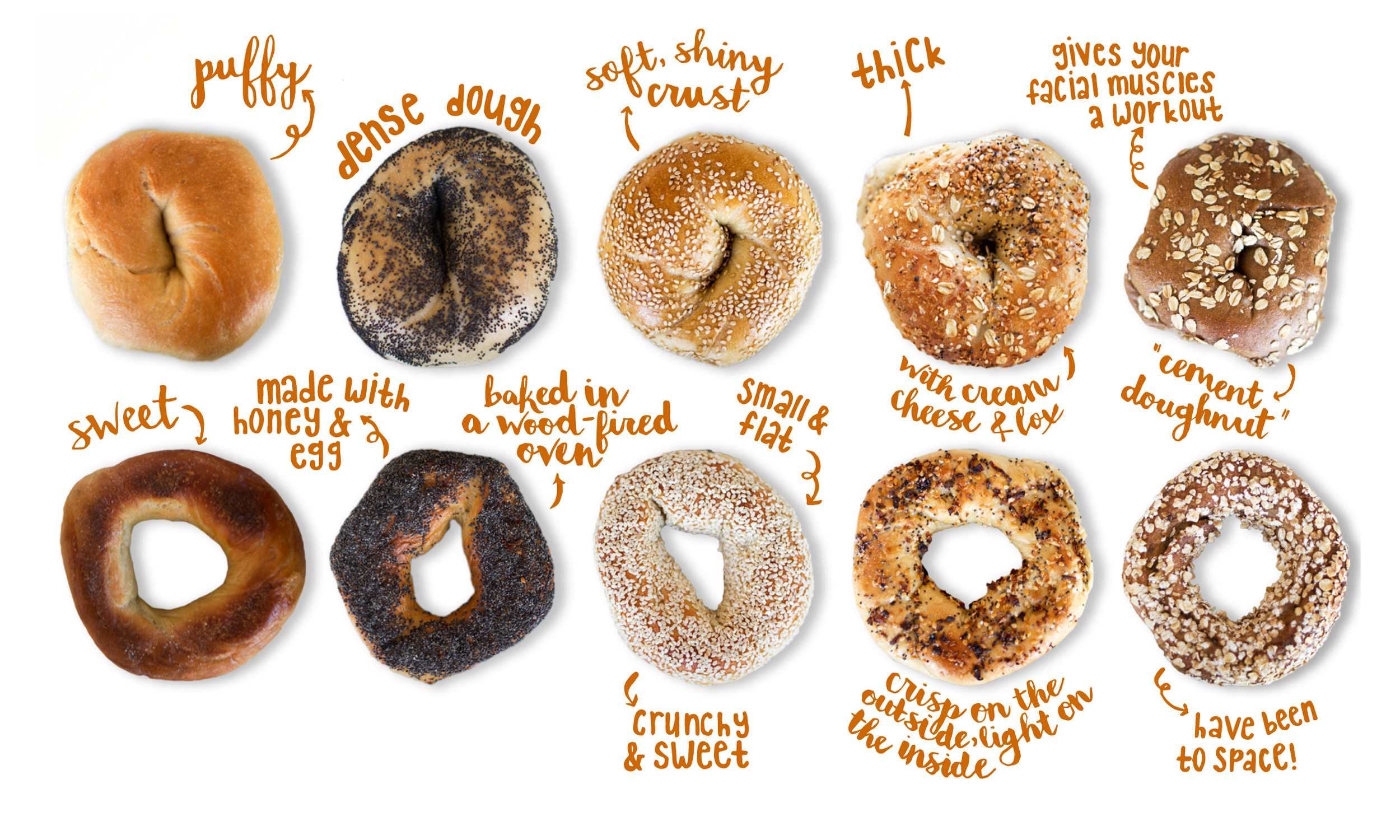 Bagel High Quality Background on Wallpapers Vista