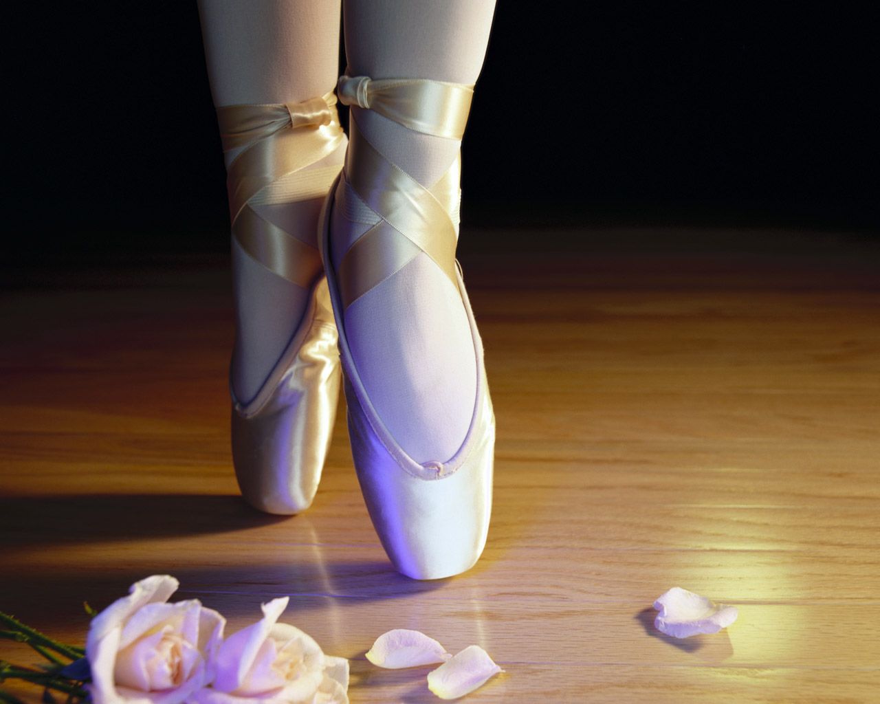 Ballet High Quality Background on Wallpapers Vista
