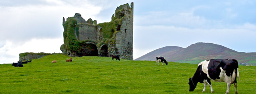 Ballycarbery Castle #3