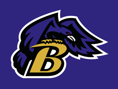 Amazing Baltimore Ravens Pictures & Backgrounds