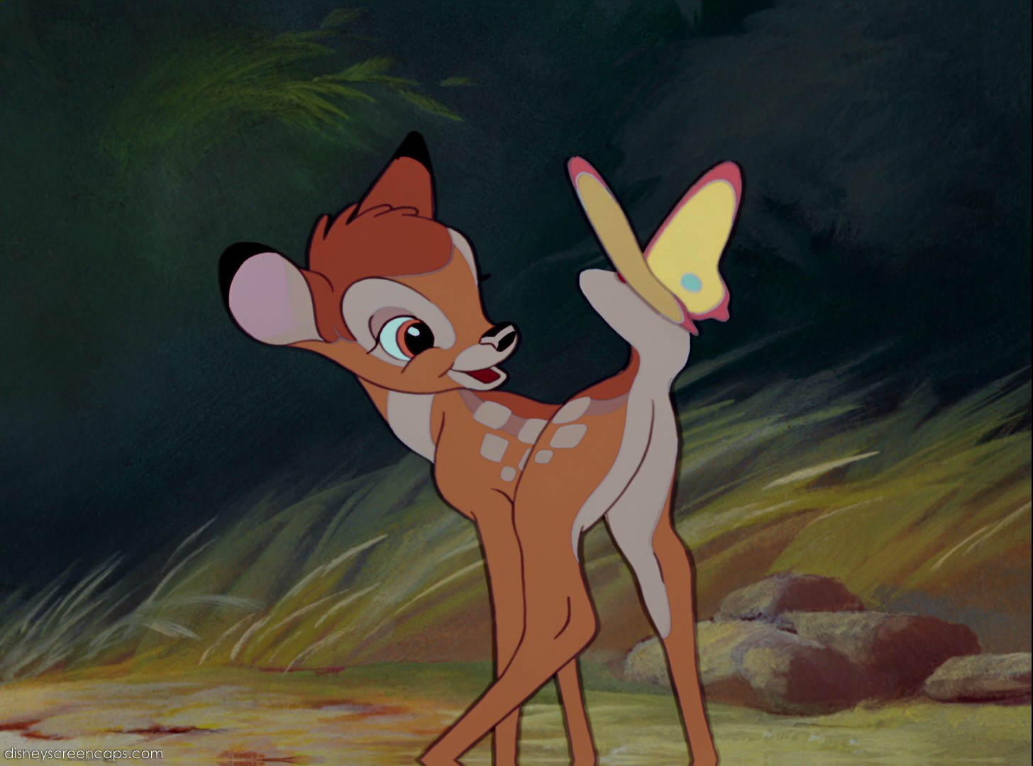 Amazing Bambi Pictures & Backgrounds