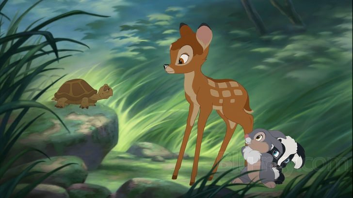 Bambi II Pics, Movie Collection