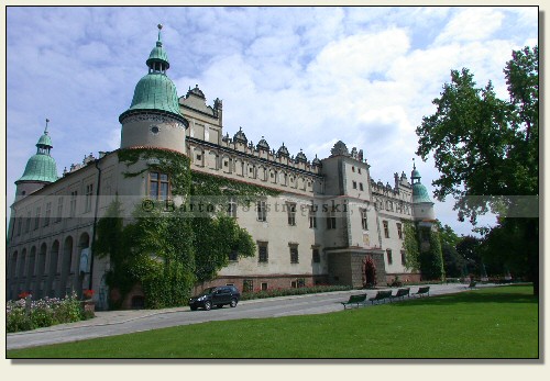 Baranów Sandomierski Castle #5
