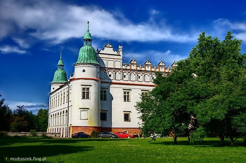 Baranów Sandomierski Castle #9