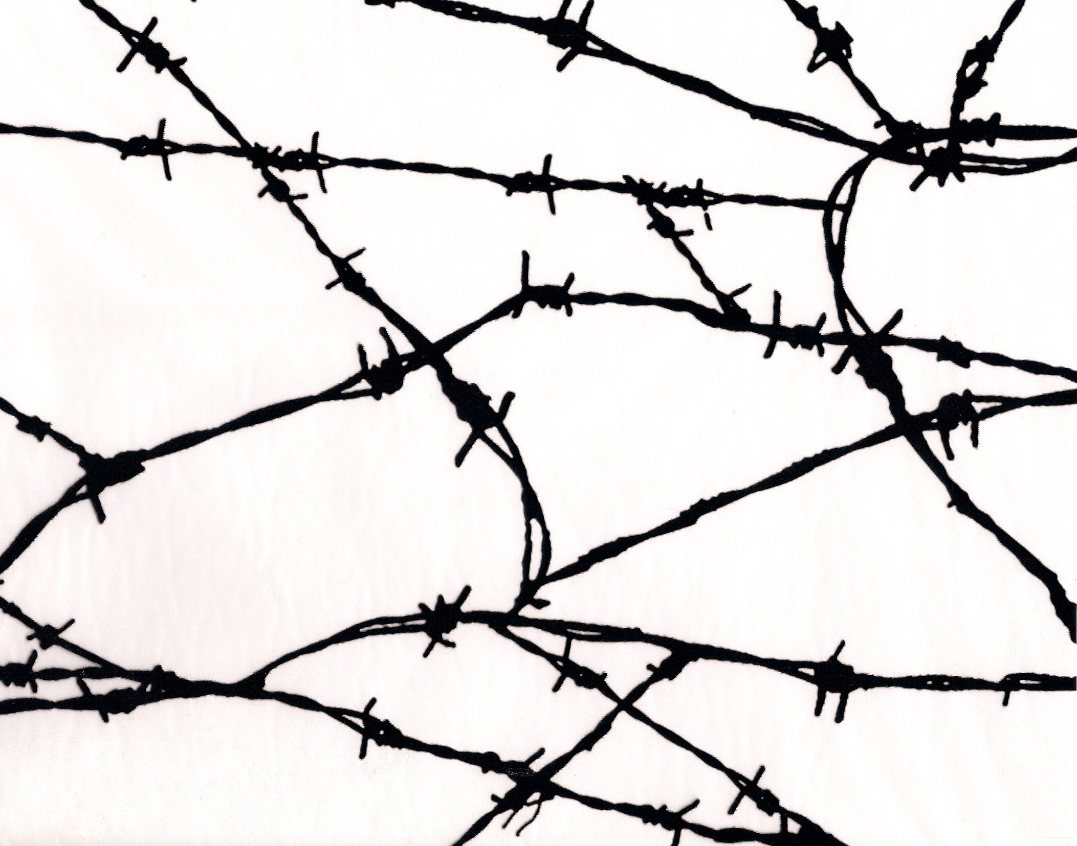 Nice wallpapers Barb Wire 2105x1655px