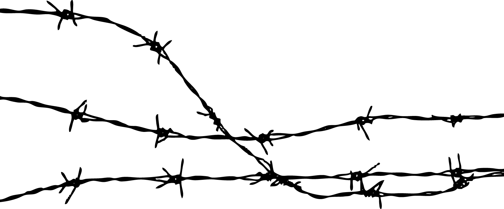 Barb Wire #12