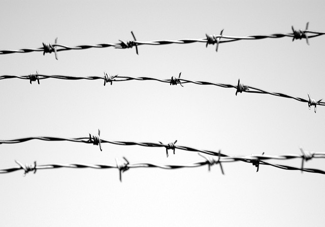 640x448 > Barb Wire Wallpapers