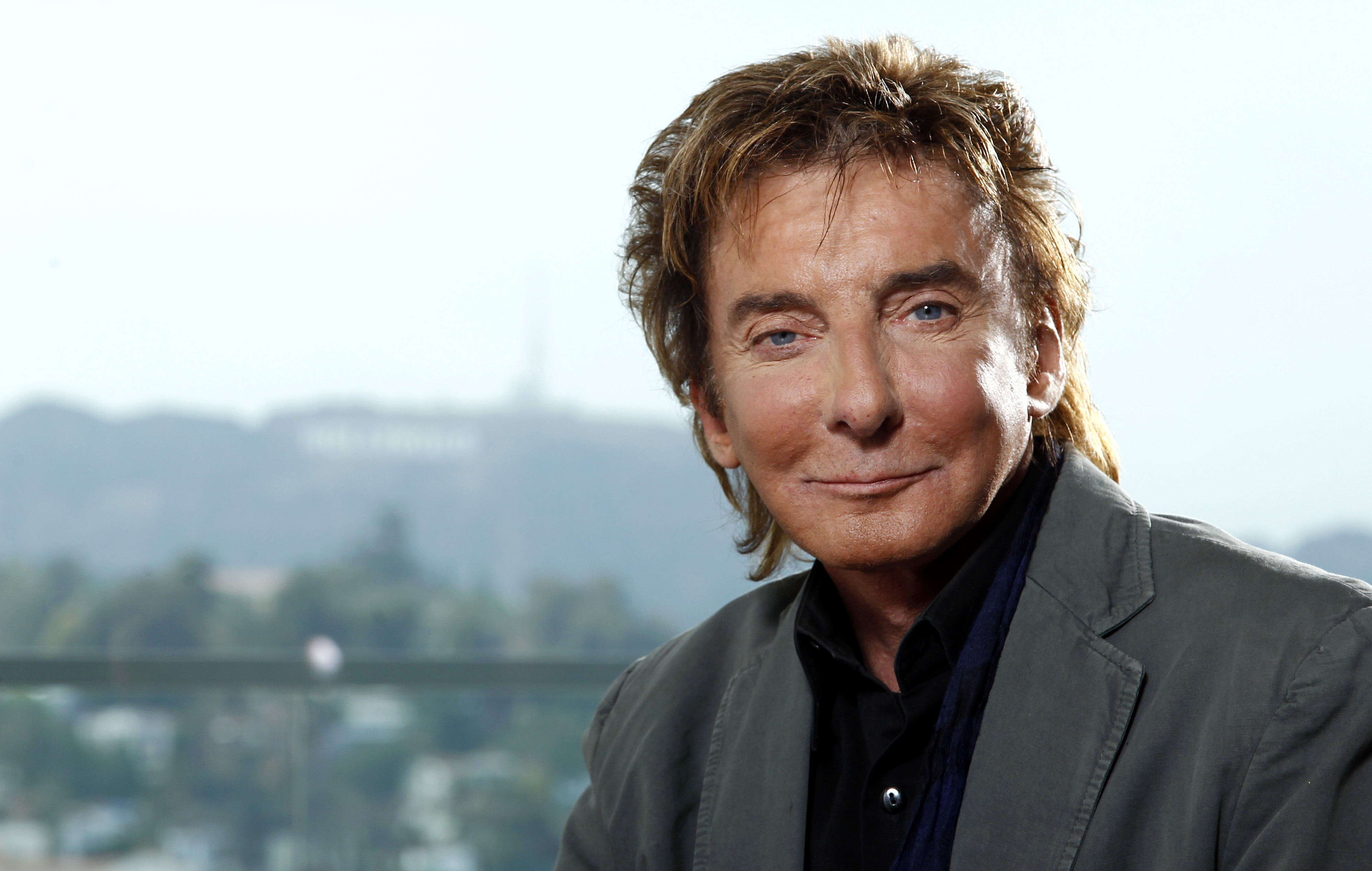 Barry Manilow #8