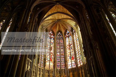 Amazing Basilica Of St. Nazaire And St. Celse, Carcassonne Pictures & Backgrounds