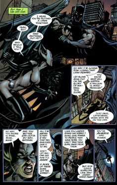 Batman Catwoman: Trail Of The Gun  Pics, Comics Collection
