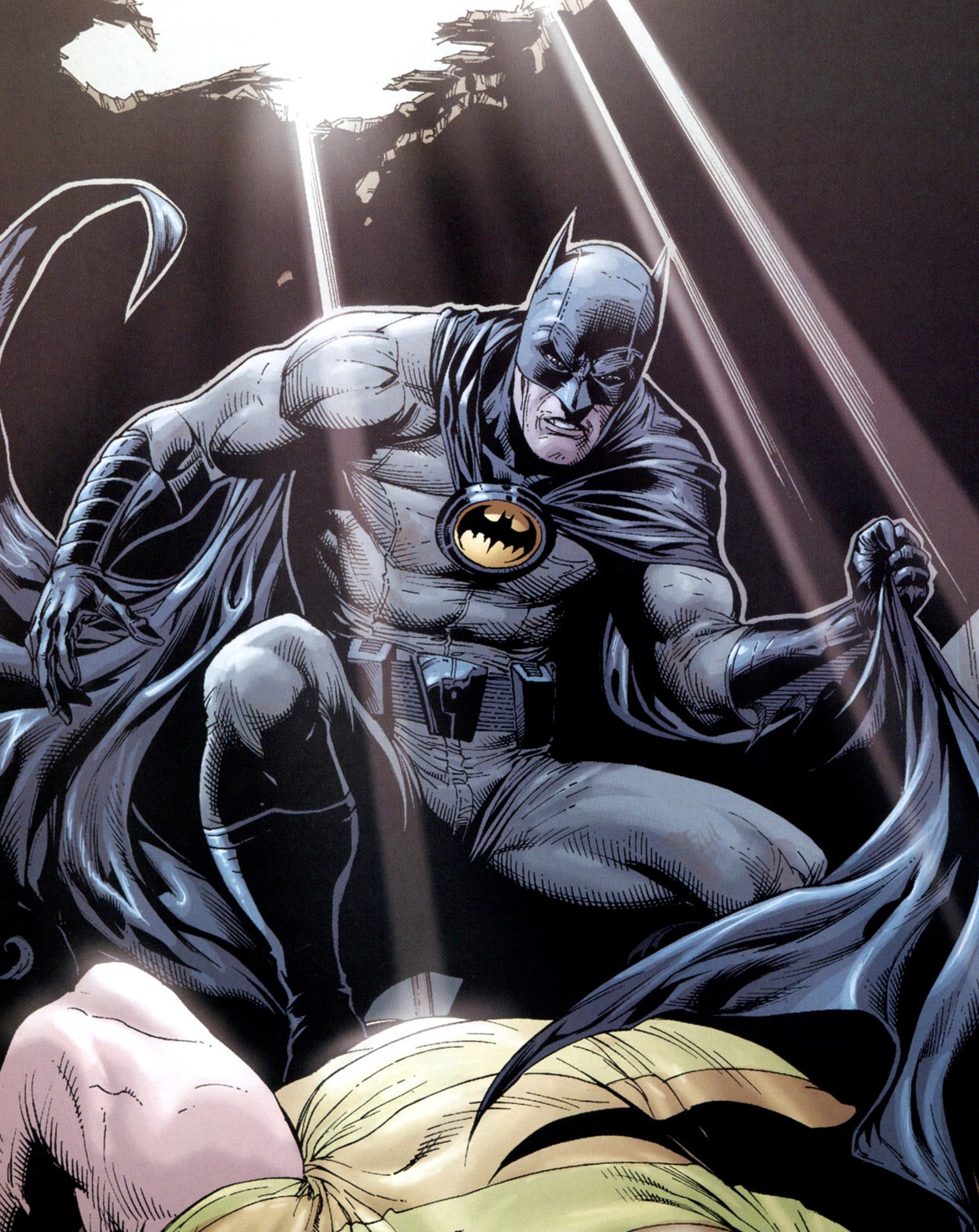 HD Quality Wallpaper | Collection: Comics, 1256x1580 Batman: Earth One