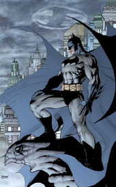 Batman: Hush Pics, Comics Collection