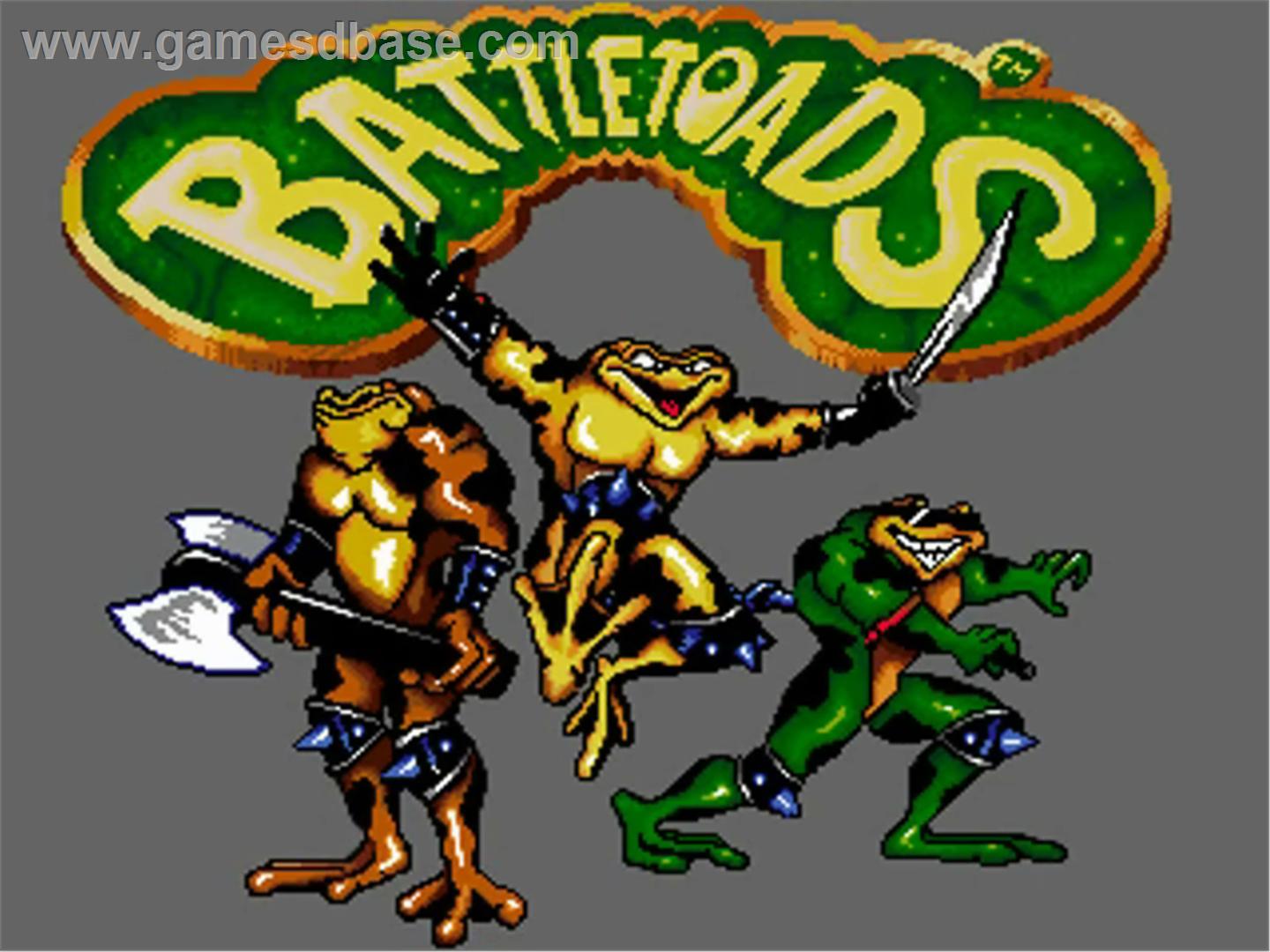 HQ Battle Toads Wallpapers | File 145.92Kb