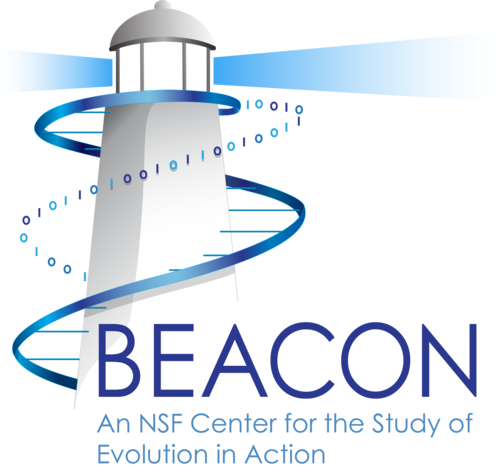 Beacon #6