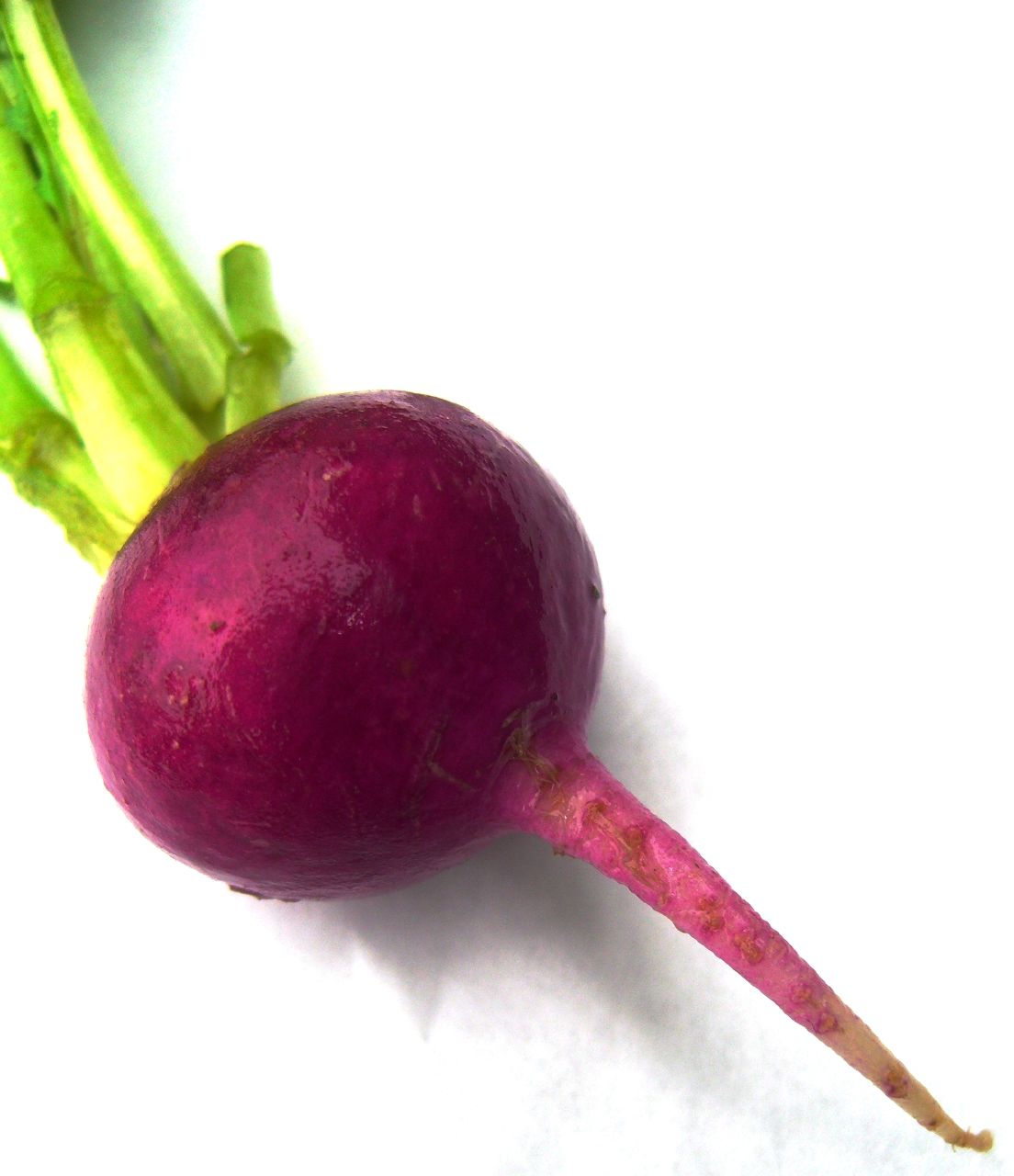 Images of Beet | 1104x1280