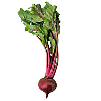 Images of Beet | 200x200