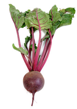 Beet Pics, Food Collection