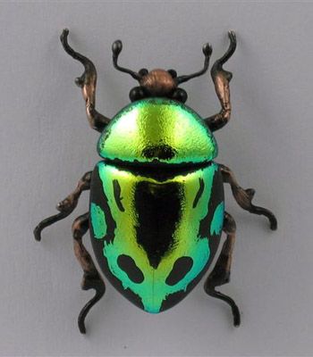 Images of Beetle | 350x400