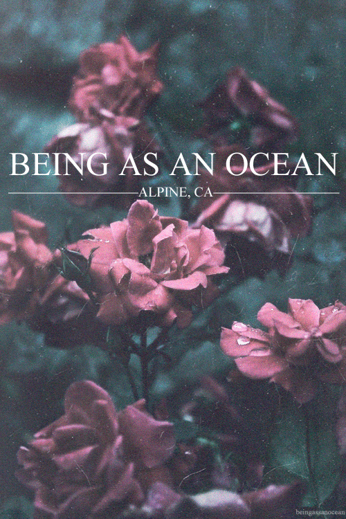 Being As An Ocean #19