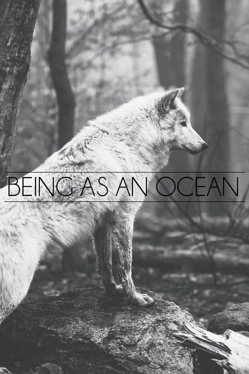 Being As An Ocean #15