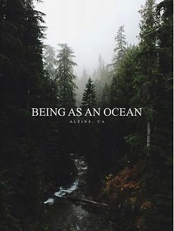Being As An Ocean #13