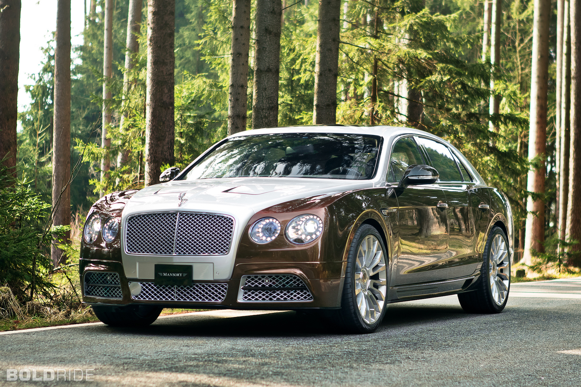 Bentley Continental Flying Spur #12
