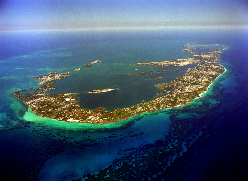 Bermuda #1