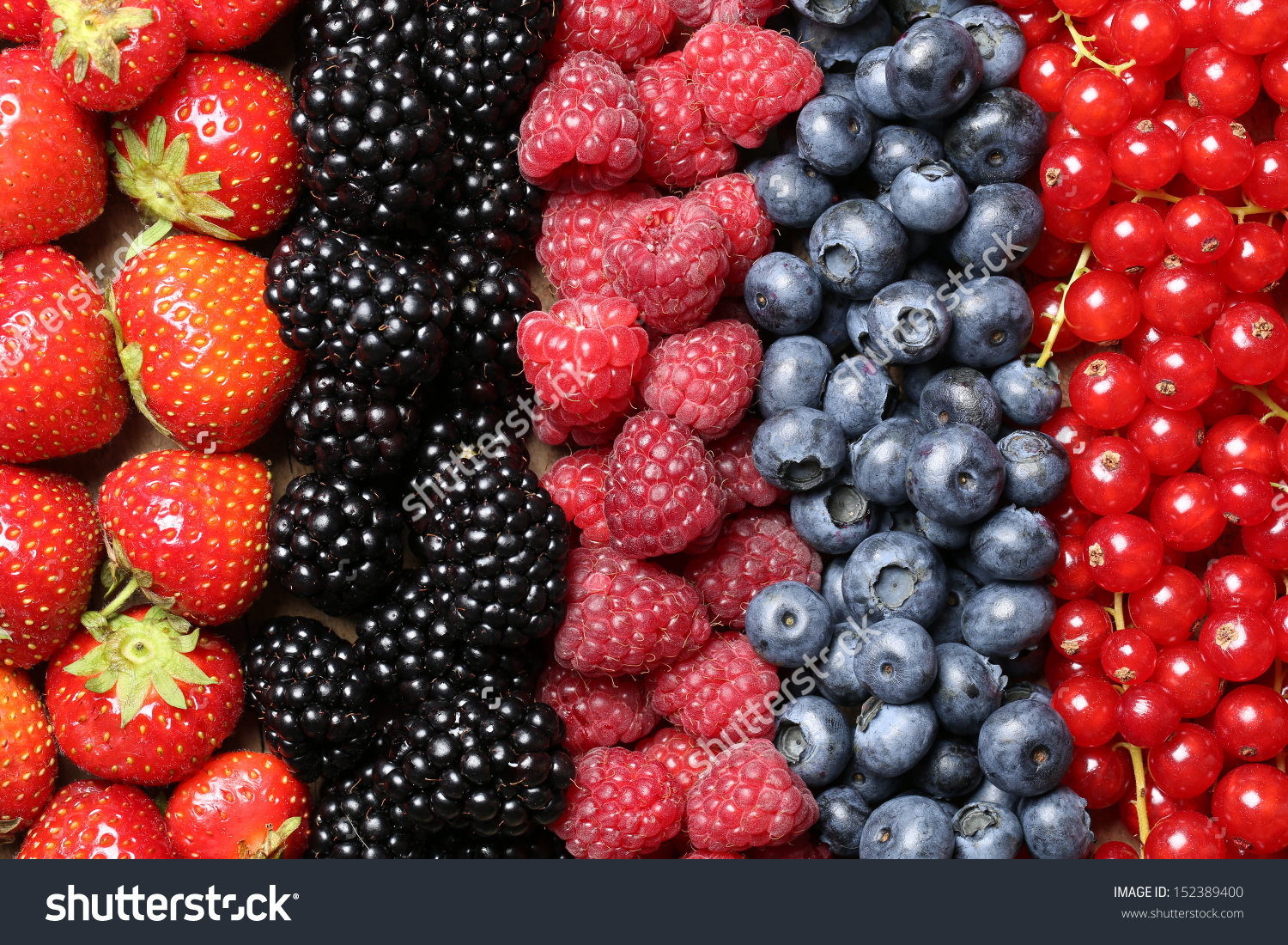 Berry Backgrounds, Compatible - PC, Mobile, Gadgets| 1500x1100 px