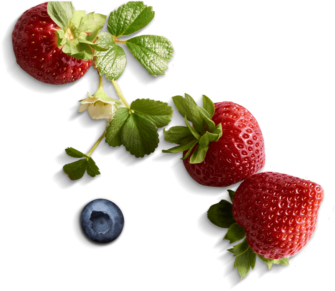 Berry Backgrounds, Compatible - PC, Mobile, Gadgets| 1097x955 px
