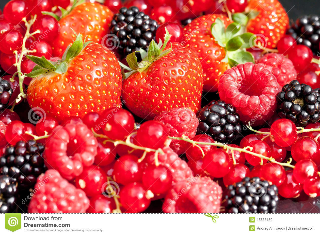 Amazing Berry's Pictures & Backgrounds