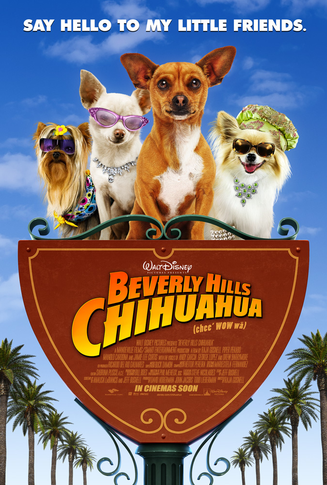 Nice wallpapers Beverly Hills Chihuahua 675x1000px