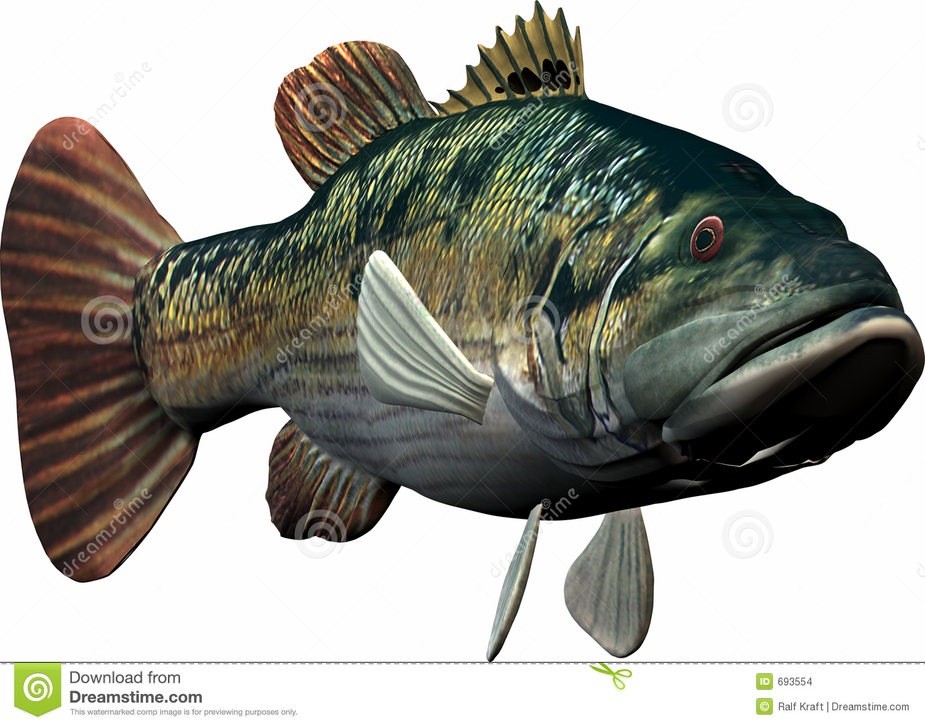 Big Fish #25