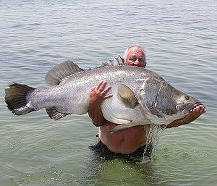 Big Fish #9