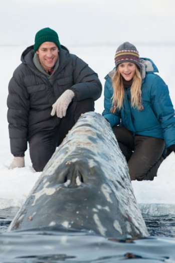 Big Miracle Pics, Movie Collection