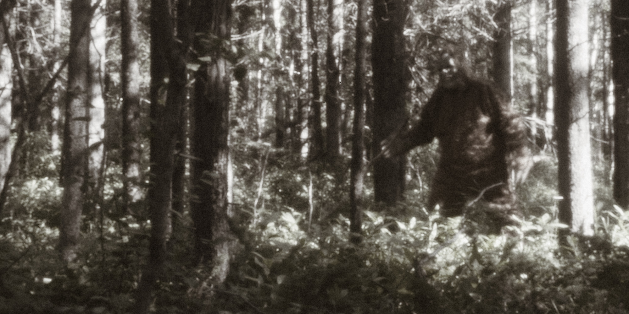 Bigfoot Pics, Fantasy Collection