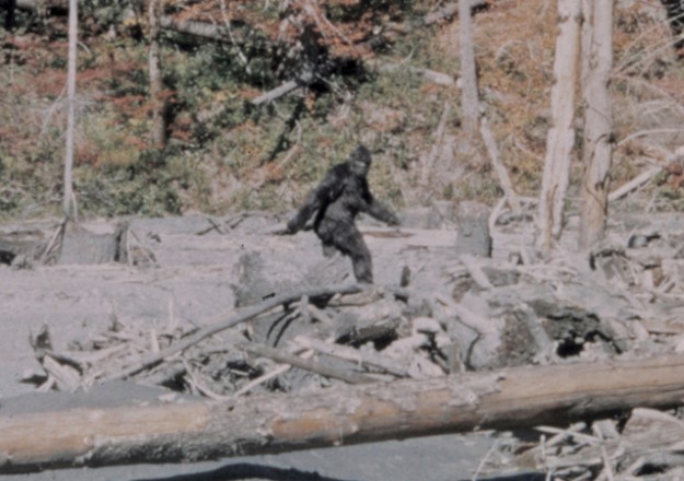 Amazing Bigfoot Pictures & Backgrounds