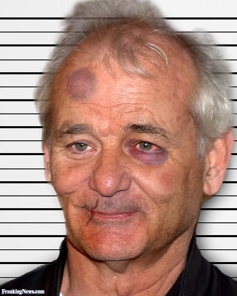 Bill Murray Pics, Celebrity Collection