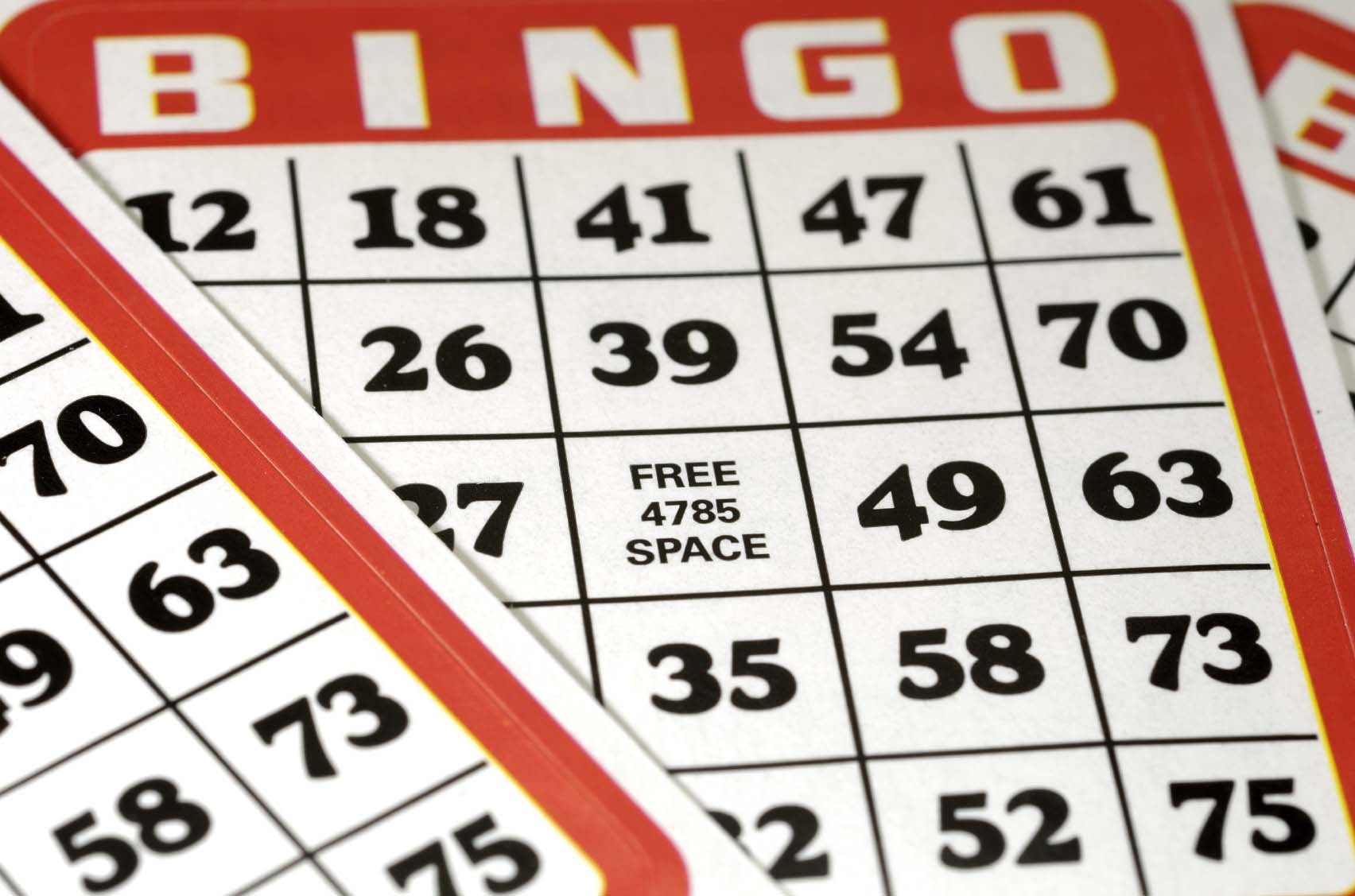 Images of Bingo | 1704x1127