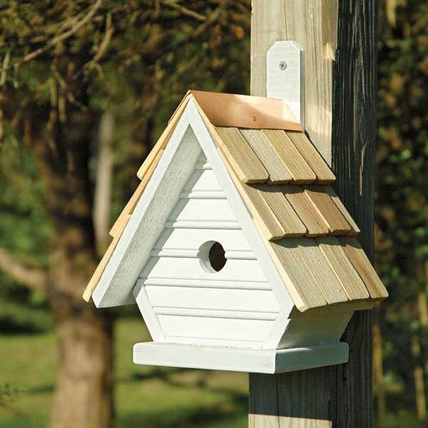 High Resolution Wallpaper | Bird House 599x599 px