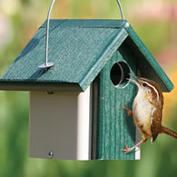 Bird House Backgrounds on Wallpapers Vista