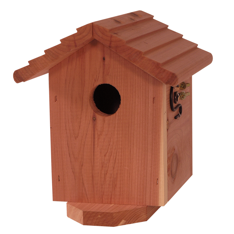 Nice wallpapers Bird House 900x900px