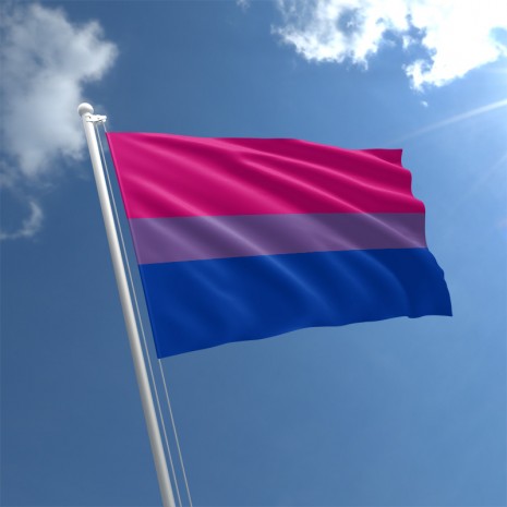 HD Quality Wallpaper | Collection: Misc, 465x465 Bisexual Pride Flag