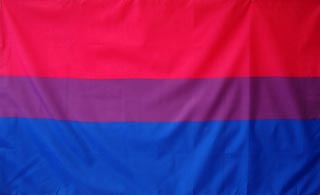 Bisexual Pride Flag High Quality Background on Wallpapers Vista