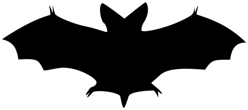 Nice Images Collection: Black Bat Desktop Wallpapers