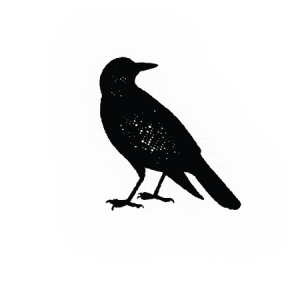 Black Bird #11