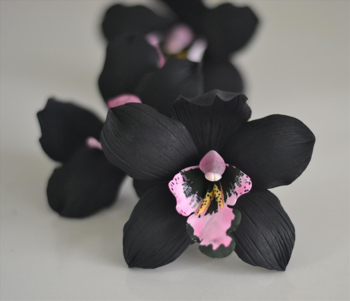 HQ Black Orchid Wallpapers | File 57.46Kb