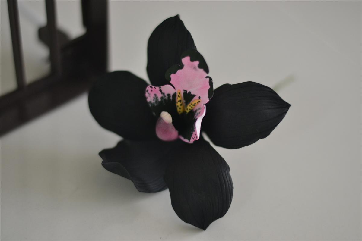 Black Orchid Backgrounds on Wallpapers Vista