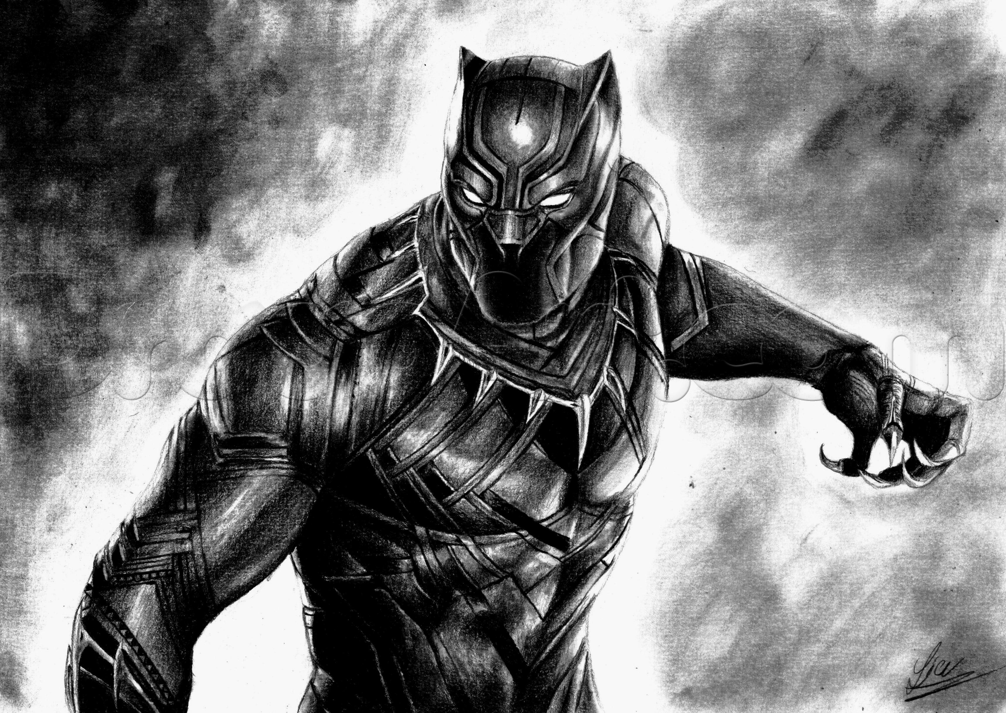 Black Panther Pics, Animal Collection